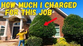 How Much To Charge for Shrub Trimming (and WHY)