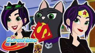 Best Catwoman Episodes | DC Super Hero Girls