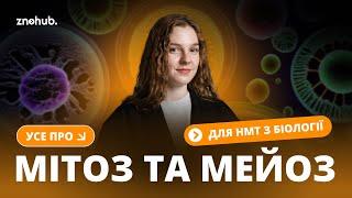 Усе про мітоз та мейоз для НМТ з біології