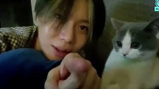 Taemin Loves Kkong (I wish I was a Cat)