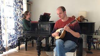 Mandolin Tutorial 1. Tremolo 'How to practise?' by Sebastiaan de Grebber - The Swan - Saint-Saëns