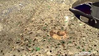 Beer Bottle Glass Concrete Counter Tops