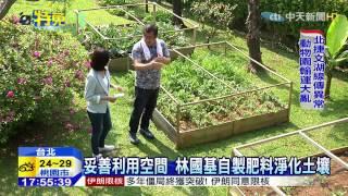 20150403中天新聞　林國基百坪秘密菜園　種20種有機菜