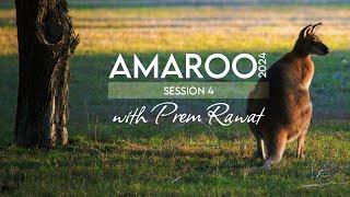 Amaroo 2024 Session 4 (A glimpse)