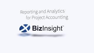 Dynamic Reporting in Excel Using BizInsight | BizNet Software