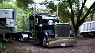 99 Peterbilt 379 - Junior Babypeete