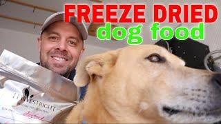 FREEZE DRIED DOG FOOD RECIPE --Homemade vs. Store Bought #freezedrieddogfood