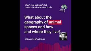 "Why Just Humans?" #ethicalschools #sentientism #sentientisteducation @ethicalschoolspodcast