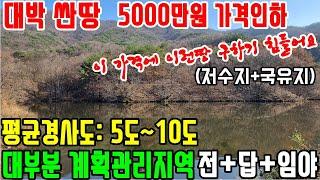 공주부동산/공주토지매매(no.2-1124번."강력추천 5000만원가격인하-대박싼땅!! 이가격에 이런땅 구하기 힘들어요)-대부분 계획관리지역.경사도5도~10도.전+답+임야.임도3m