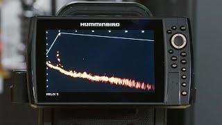 Humminbird Mega Live - Perch Fishing