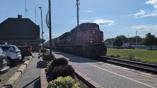 CN 438 in Chatham. Sept 9, 2024