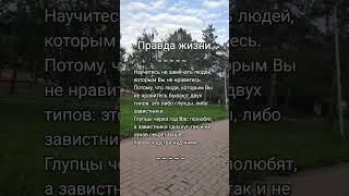 Мудрые слова о жизни #цитатыпрожизнь #цитаты #аффирмации #мысли #мудрость #отношения #жизнь #любовь