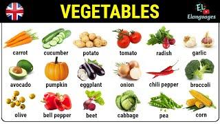 Vegetables in English vocabulary