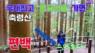 국내 최대 "250만구루" *180만평* 편백나무숲은 피톤치드 지금이 최고/축령산 정상도 왕 초보 환영/ 숲길 스,며.들.다 자세한 안내 보면 유익