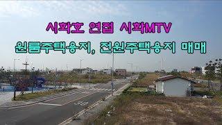 [송산왕부동산TV] 시화MTV 원룸주택용지,전원주택용지 매매