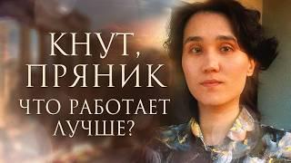 Как расположить к себе человека? Психологический разбор книги "Pax Romana. Синий лотос"