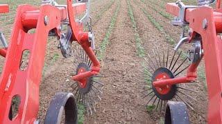 Row-crop cultivator - CHOPSTAR-TWIN - EINBÖCK Shortclip #3