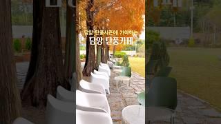 딘풍시즌에 가야하는 단풍배경 야외테라스카페 #담양#담양여행#담양가볼만한곳#전남#카페#카페투어#데이트#가을#단풍#가을여행#가을나들이