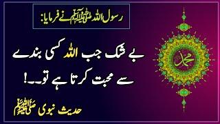 beshak Jab Allah Kise se Muhabbat karta hai | Hadees | Islamic Urdu Gallery