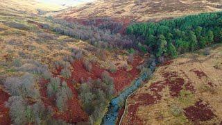 The Scottish village that raised millions to create a nature reserve