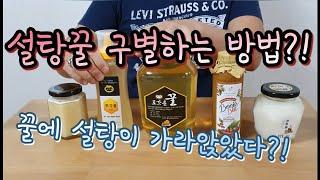 설탕꿀(사양꿀, 가짜꿀) 구별하는 방법?! 꿀에 설탕이 가라앉았다?! 《How to Distinguish Sugar Honey?!》