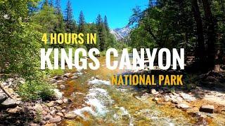 4 Hours in Kings Canyon National Park