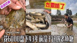 大表哥：花6000盘下43年前从没干过的老鱼塘，抽干水里面到底有什么 #户外 #viralvideo #捕鱼