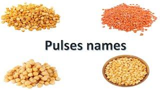 Pulses name || Pulses in english  || Learn Pulses Names ||