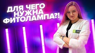 ФИТОЛАМПЫ - ОБМАН ИЛИ НЕОБХОДИМОСТЬ?!