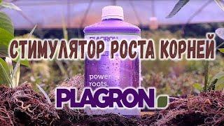 Стимулятор роста корней Plagron Power Roots