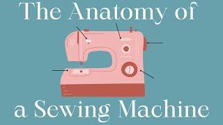 Parts of a Sewing Machine and What Do They Do