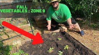 Fall Vegetable Gardening for Zone 9