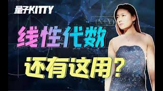 想学量子？不会点简单数学都白搭【量子Kitty-量子门上】