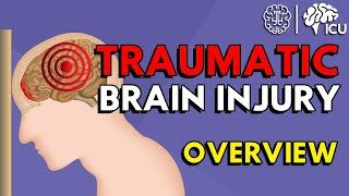 Overview of Traumatic Brain Injury (TBI)