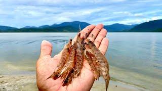 COM ESSA ISCA VOCÊ PEGA PEIXE EM QUALQUER LUGAR DO MUNDO!!! Pescaria.