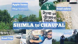 Shimla to Chaupal|| Road Trip to our village || Travel Vlog || Roads of Himachal || Episode - 6