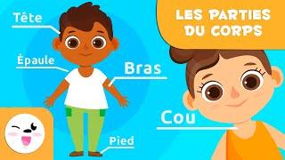 Les parties du corps humain pour les enfants | Vidéos éducatives pour les enfants