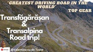 Transfagarasan & Transalpina Road trip in Muscle Car + Lots of bears 