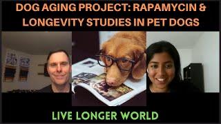 Dog Aging Project: Longevity and Rapamycin Studies in Pet Dogs | Matt Kaeberlein