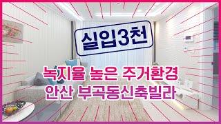 [안산빌라매매][부곡동 신축빌라] 주거입지 좋은 상록구 부곡동 3룸 매매 실입 3천으로 가능!