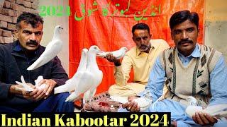 Ustad ijaz gujjar Best interview 2024 ‍️ faisalabad pigeon