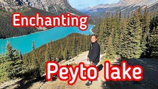 Peyto Lake in Banff Canada @LindseysAdventures220