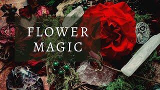 A Beginner Witches Guide to Flower Magic for the Green Witch & Folk Witch