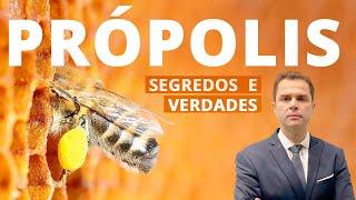  PRÓPOLIS! Para que serve? Dr. Fernando Lemos - Planeta Intestino