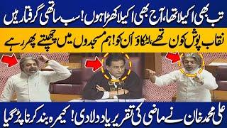 Ali Muhammad Khan Blasting Speech Over PTI Leaders Arrest | Speech Suddenly Halted | Capital TV