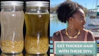 Fenugreek for Thicker Hair Growth | Simple DIY Hair Growth Oil