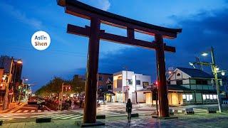 镰仓景点交通｜江之岛｜鹤冈八幡宫｜高德院｜长谷寺｜明月院｜小町通