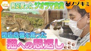 コロナ禍で閉店危機…猫に助けられた「ジオラマ食堂」のその後　店主が取り組む保護活動