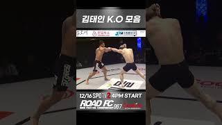 라이트헤비급 챔피언 김태인 K.O 모음#shorts