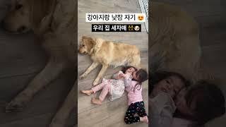 강아지를 너무 사랑하는 아이들  #강아지 #자매